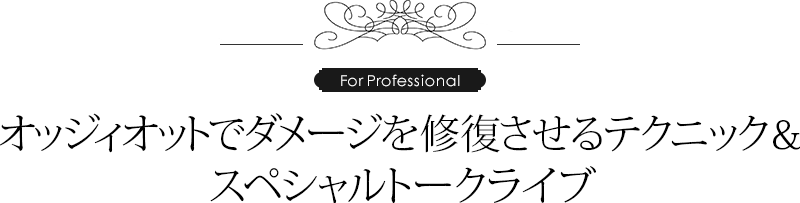 ååȤǥ᡼ƥ˥åڥȡ饤֡For Professional